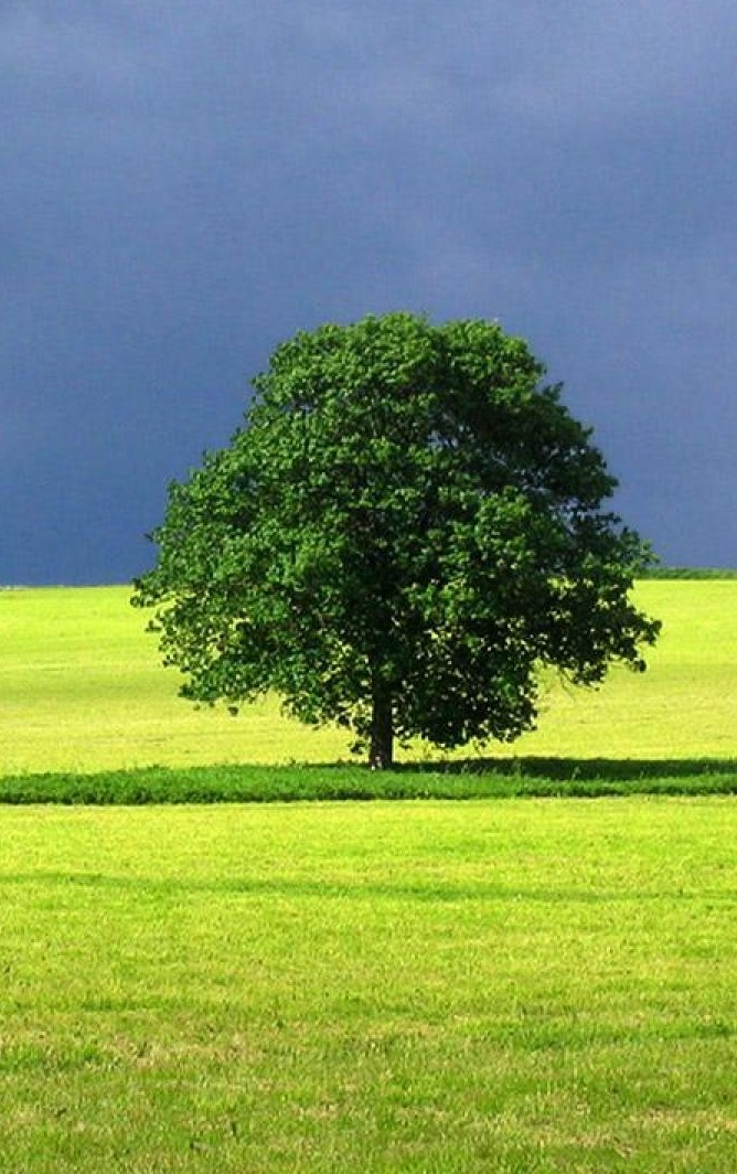 landscape-16 - Copy.jpg